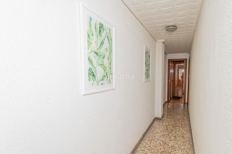 Foto 5b1c2893-0cf4-422a-ba43-afd9e66b3652. Pis a Centro Elche / Elx