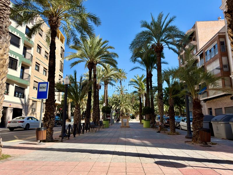 Foto 60388aa0-962d-43a7-b8ba-0ee7bc06c3cd. Pis a Centro Elche / Elx