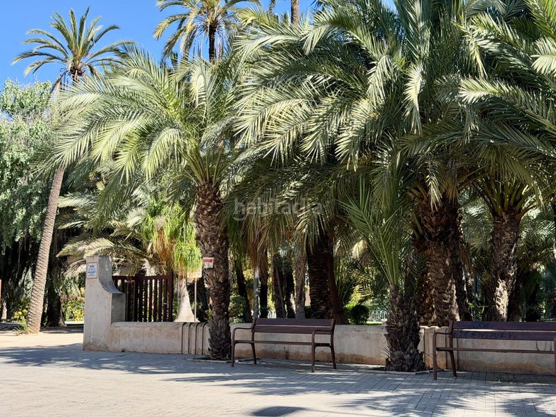 Foto 8f871312-dbf5-472e-8c8c-f6f59f6ff01d. Pis a Centro Elche / Elx