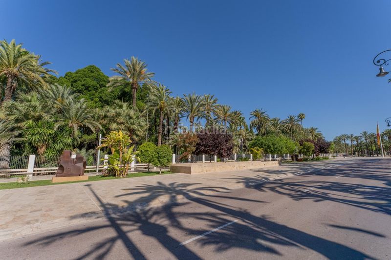 Foto c751db57-a66d-4e9a-89ff-cdfe01bf0c2a. Pis a Centro Elche / Elx