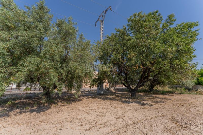 Foto 1797688b-0db1-46f4-ba91-505f1f9e7a24. Casa a Algorós - El Derramador Elche / Elx