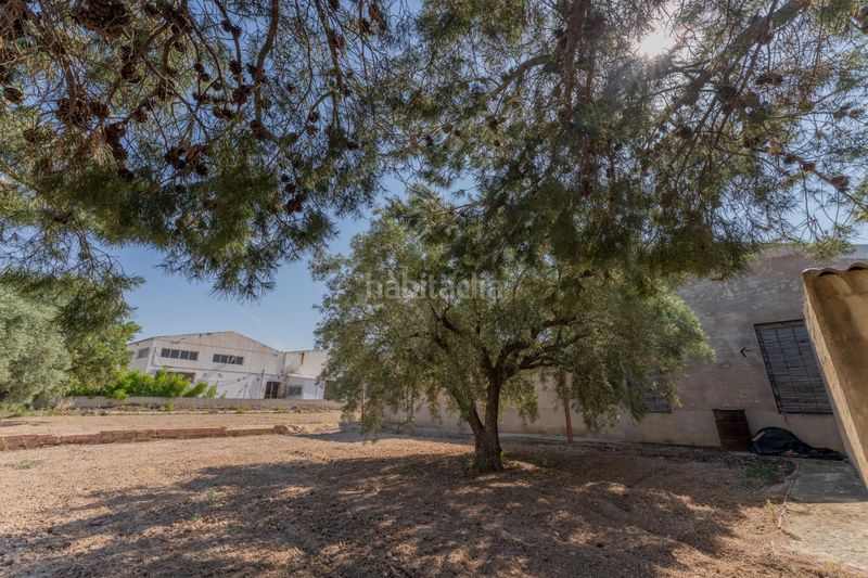 Foto f0d1eaf2-6754-4f74-a613-c477550b43a8. Casa a Algorós - El Derramador Elche / Elx