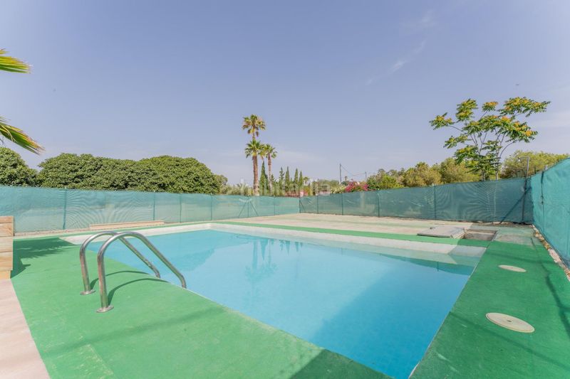 Foto fe9ecb13-bddd-4886-bd3b-5a980471a8eb. Xalet amb aparcament piscina a Peña de las Águilas Elche / Elx