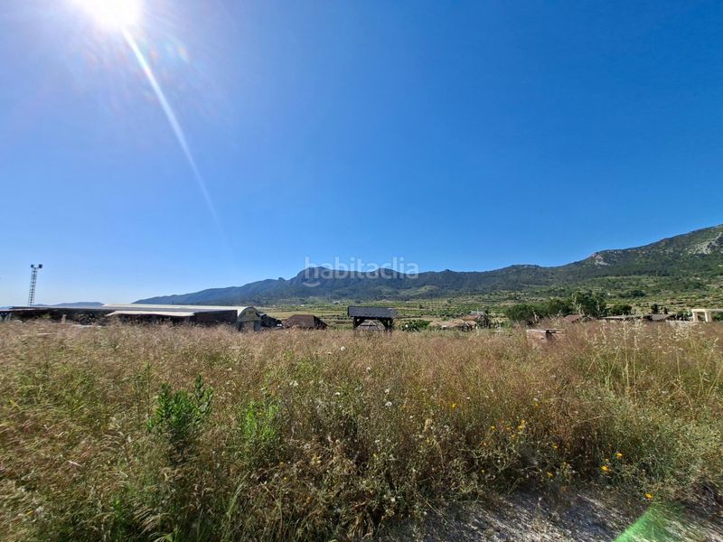 Foto a5d7676f-3d18-463c-b066-40f039f45a5f. Casa amb aparcament a Romana (la)