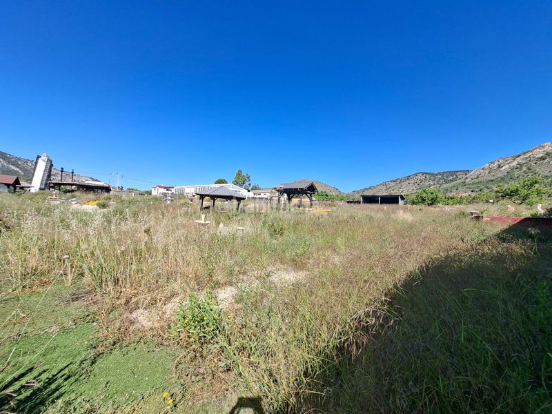 Foto a6beac7a-527e-4ad0-bb01-4e6704dea0ae. Casa amb aparcament a Romana (la)