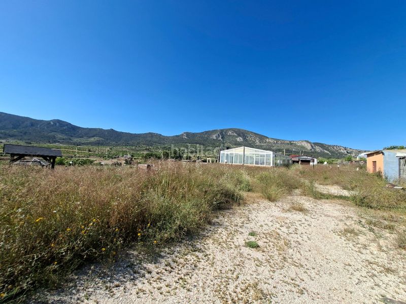 Foto cd0696cf-31cc-4d51-b659-c37ae1b501ac. Casa amb aparcament a Romana (la)