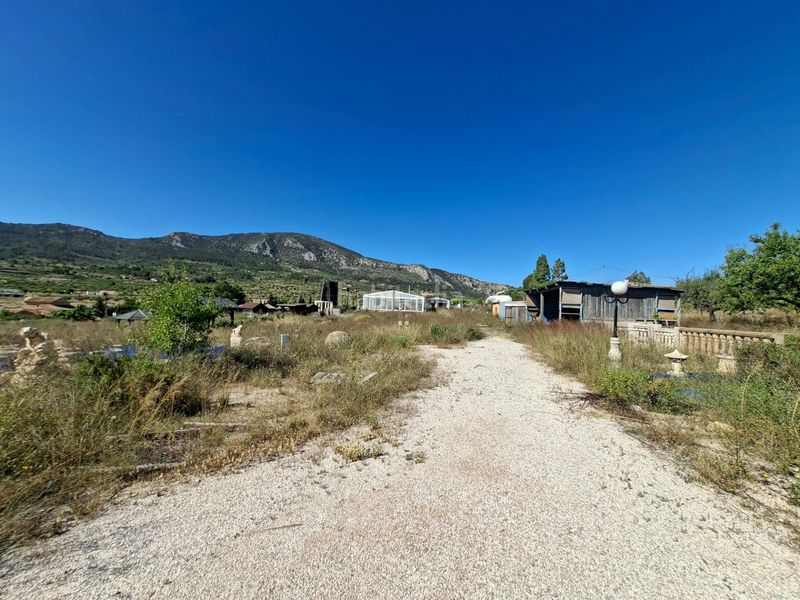 Foto e1d343f0-b212-4a83-8f32-0236f9671451. Casa amb aparcament a Romana (la)