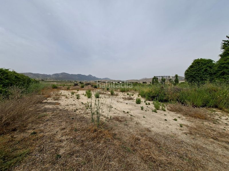 Foto 0a3cba34-e82b-4b81-a127-5eaf229229d5. Terreno residencial venta parcela edificable 11371 m2 en la romana !! en Romana (la)