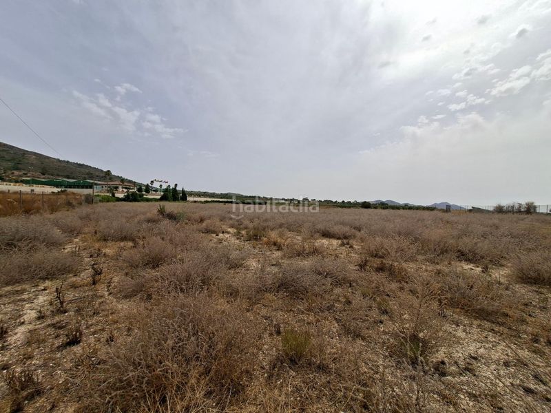 Foto 103aeed8-d9c1-49cb-92b4-1bbd9afba178. Terreno residencial venta parcela edificable 11371 m2 en la romana !! en Romana (la)