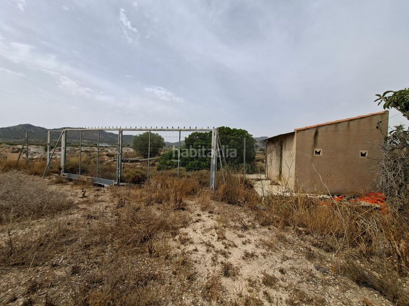 Foto 4e2268aa-4a35-4b5f-af60-fca32dfedc17. Terreno residencial venta parcela edificable 11371 m2 en la romana !! en Romana (la)