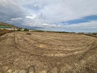 Terreny residencial a Romana (la)