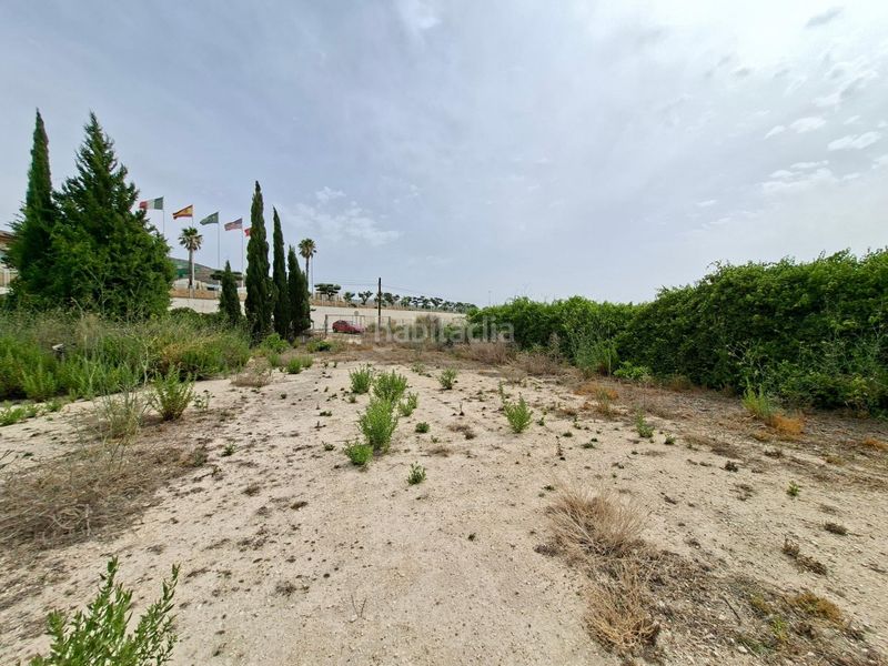 Foto c2933763-b6e2-4f82-a074-fcc1fe79a27b. Terreno residencial venta parcela edificable 11371 m2 en la romana !! en Romana (la)