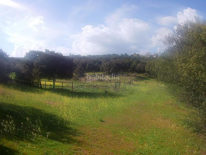 Foto 58484f7f-e243-4ecf-84bd-2834975e156d. Rural plot in vial camino 1 in Hoyo de Manzanares