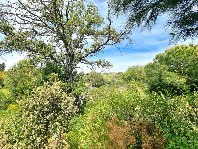 Foto 36ae48ab-8c8b-4251-845a-e34f7131b40d. Terreny residencial a calle fuente del cerro 5 a Torrelodones