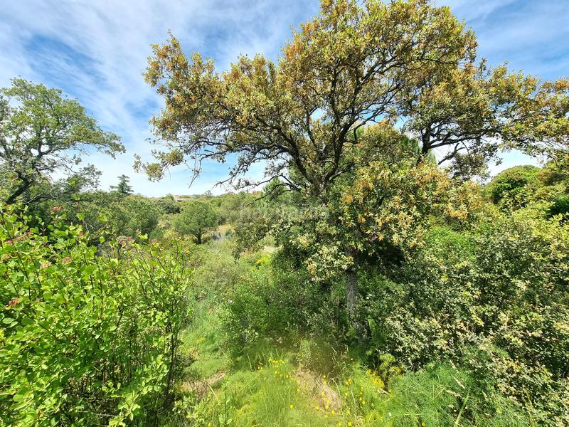 Foto 5d9eef8f-9da9-4452-a6fe-f616a20fc907. Terreny residencial a calle fuente del cerro 5 a Torrelodones