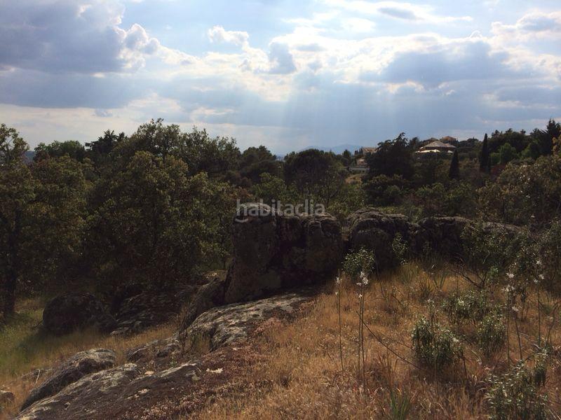 Foto 64e26250-c902-48d6-a081-b48c059764cb. Terreny residencial a calle fuente del cerro 5 a Torrelodones