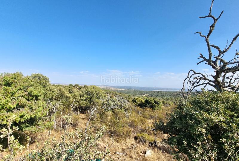 Foto 50dbcc49-5980-473f-ade6-d59224de120c. Rural plot in m-618 7 in San Crispín-La Estación Consorcio Colmenar Viejo