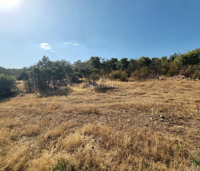 Foto 85a7cb7d-8dd3-451e-bdc9-45b23372714f. Rural plot in m-618 7 in San Crispín-La Estación Consorcio Colmenar Viejo