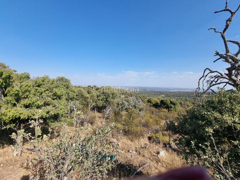 Foto 9550abb0-47ea-4fe5-a664-3d6d5320cb00. Rural plot in m-618 7 in San Crispín-La Estación Consorcio Colmenar Viejo