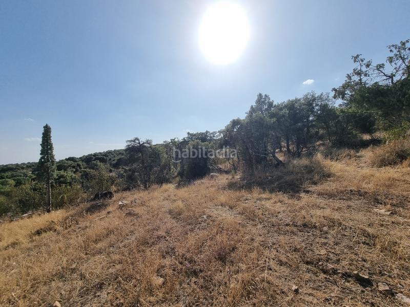 Foto d67e7bc0-d7fa-4b1b-aadf-e238614a36ed. Finca rústica a m-618 7 a San Crispín-La Estación Consorcio Colmenar Viejo