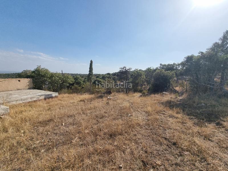 Foto 33469457-9448-4c34-bd5a-9e4f9ef25a53. Finca rústica en m-618 7 en San Crispín-La Estación Consorcio Colmenar Viejo