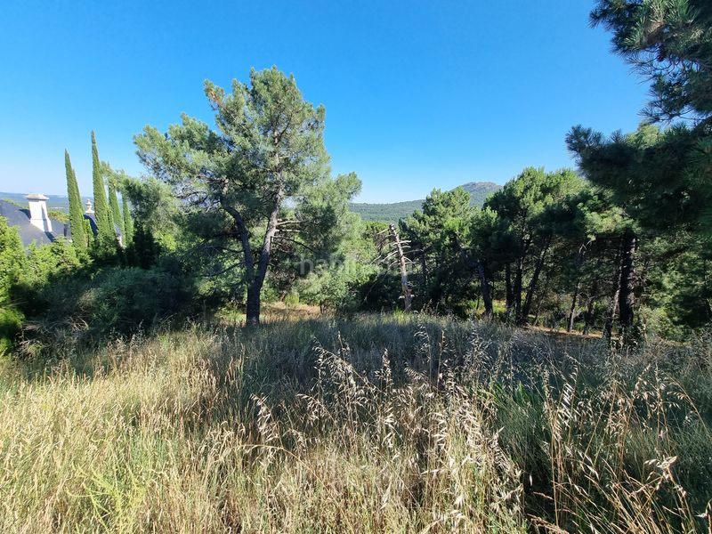Foto 7dd1f98d-5224-4849-a53e-0f1936865fb9. Landgut in Las Vegas-El Pozanco-Adelfillas Colmenar Viejo