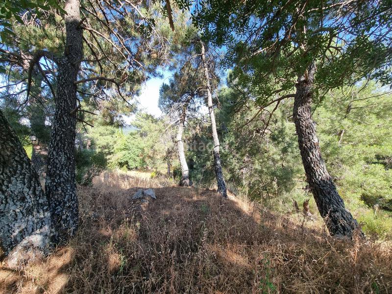 Foto 11994d81-2a3c-4b1c-bd7d-22a411bc3f59. Propriété dans Las Vegas-El Pozanco-Adelfillas Colmenar Viejo