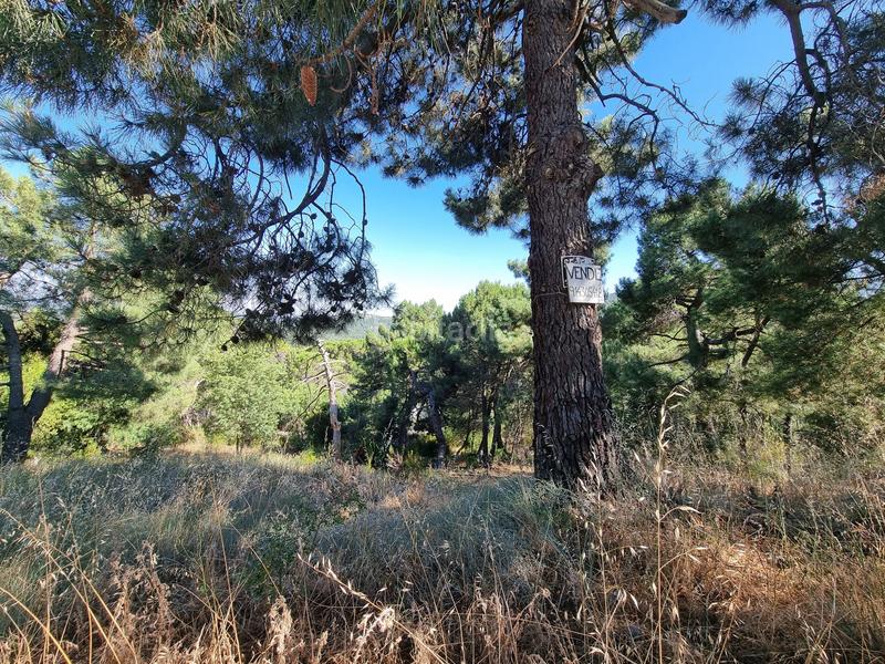 Foto 28666ce2-b138-4aea-9e2b-a57c5b187497. Propriété dans Las Vegas-El Pozanco-Adelfillas Colmenar Viejo