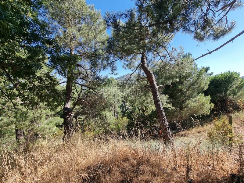 Foto 439fc09a-2594-48af-bb8f-a69e7ede51c9. Propriété dans Las Vegas-El Pozanco-Adelfillas Colmenar Viejo