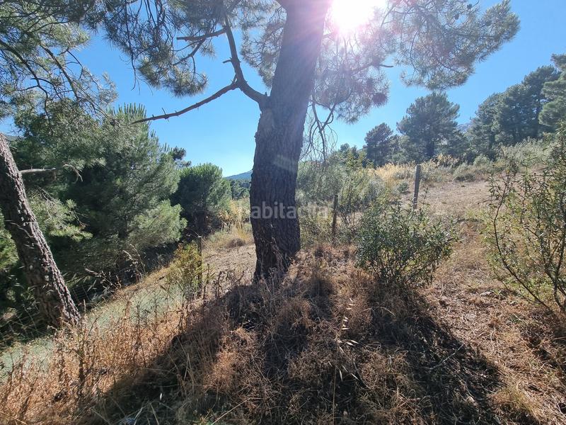 Foto 5304345a-d0ef-4f33-af41-1f36b4286a0c. Propriété dans Las Vegas-El Pozanco-Adelfillas Colmenar Viejo