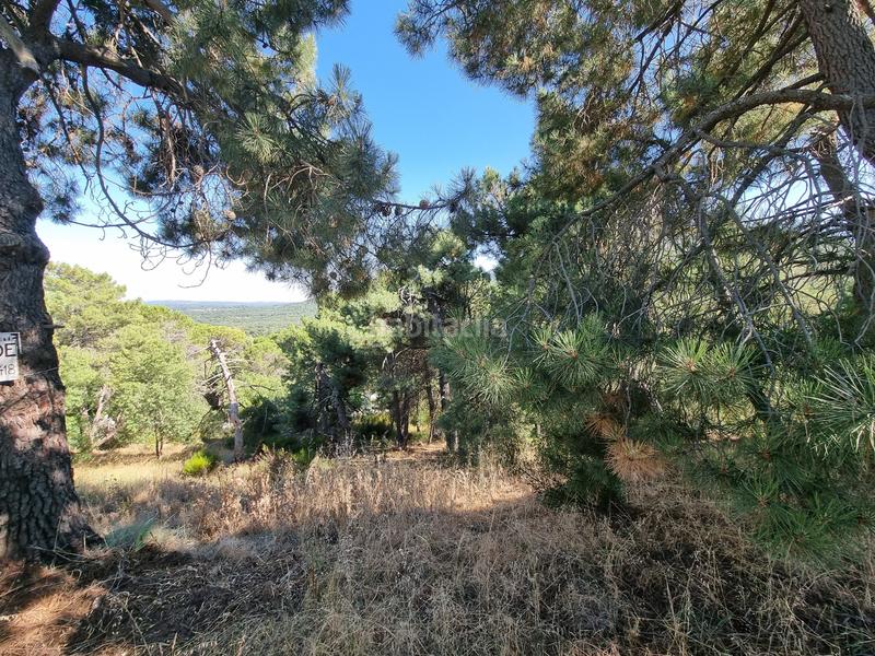 Foto 83692841-9695-4155-9940-b0372f933328. Propriété dans Las Vegas-El Pozanco-Adelfillas Colmenar Viejo