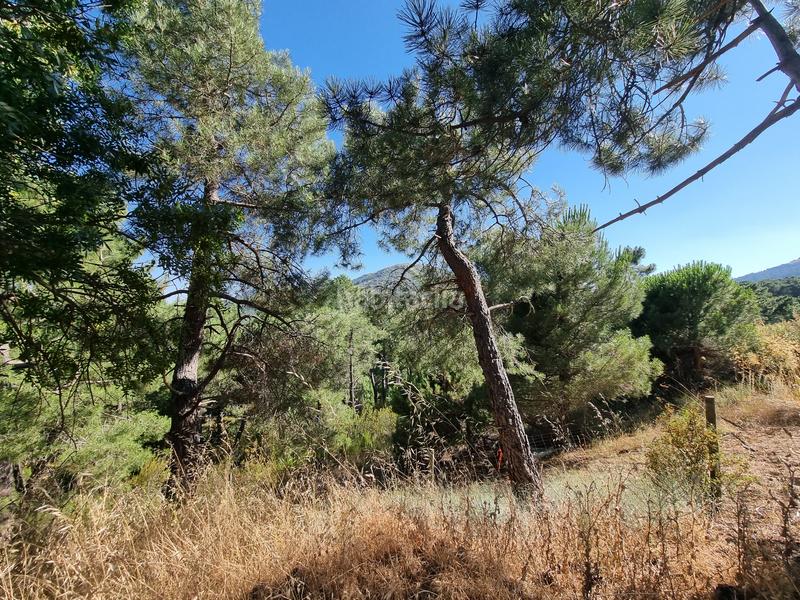 Foto b16691ad-cd33-4338-8d9c-c1fa264cdfc9. Propriété dans Las Vegas-El Pozanco-Adelfillas Colmenar Viejo