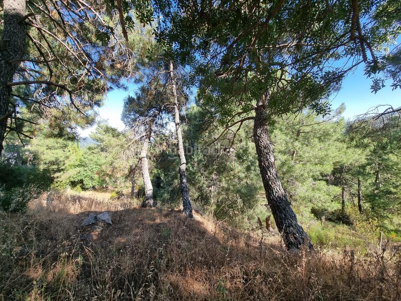 Foto d242e17c-d214-41e9-bec3-5a61f8b27e9a. Propriété dans Las Vegas-El Pozanco-Adelfillas Colmenar Viejo