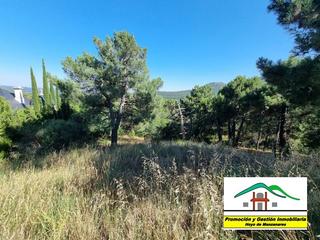 Rural plot in Las Vegas-El Pozanco-Adelfillas