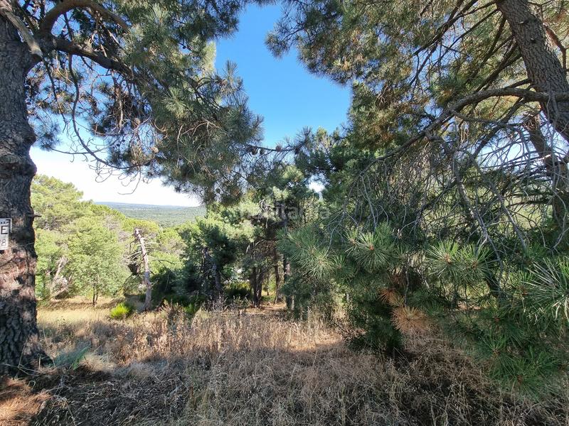 Foto a216387d-dcaa-4f81-b8e0-bf166825bde7. Finca rústica en Las Vegas-El Pozanco-Adelfillas Colmenar Viejo