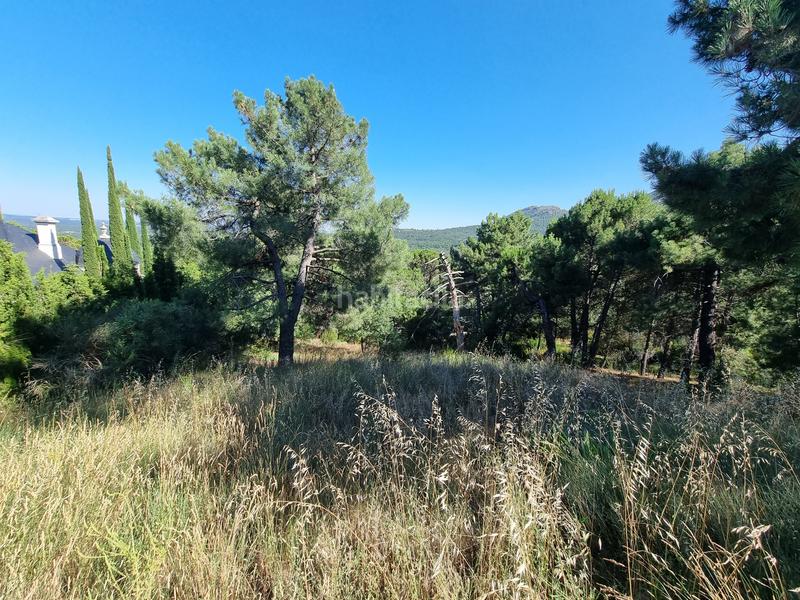 Foto e4c166b7-c4da-4108-9ca0-0c9a0a1a71b4. Finca rústica en Las Vegas-El Pozanco-Adelfillas Colmenar Viejo