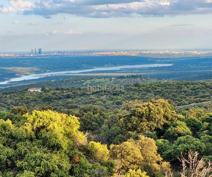 Foto 773ce3c5-0891-435f-9ca4-79eb0dd7218b. Fondo rustico in Las Vegas-El Pozanco-Adelfillas Colmenar Viejo