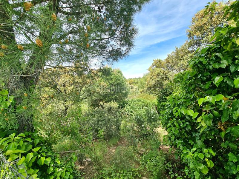 Foto da48996f-7230-4073-950b-c00c2652d442. Landgut in Las Vegas-El Pozanco-Adelfillas Colmenar Viejo