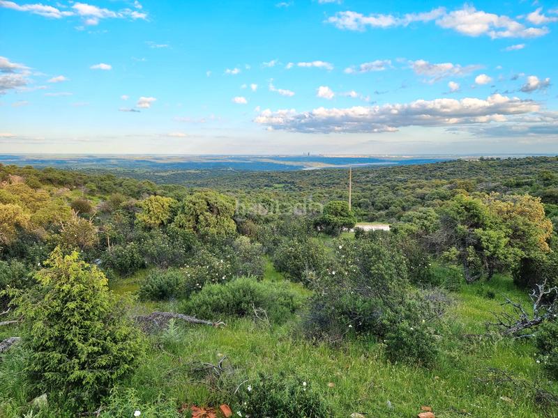 Foto 3b91c025-ffcb-4785-a349-1d5402e38a18. Finca rústica a Las Vegas-El Pozanco-Adelfillas Colmenar Viejo