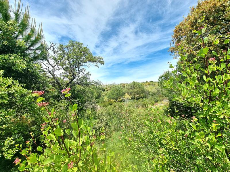 Foto 35b67ce3-92c1-4130-ae79-68c82b43ef02. Finca rústica en Las Vegas-El Pozanco-Adelfillas Colmenar Viejo