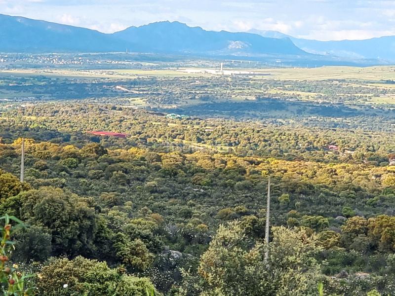 Foto 9e4bf212-4c44-4c22-b256-4453935cc348. Finca rústica en Las Vegas-El Pozanco-Adelfillas Colmenar Viejo