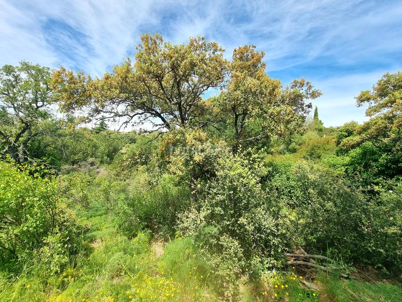 Foto bdac847f-61ac-4eff-816c-0b0eeacd37db. Finca rústica en Las Vegas-El Pozanco-Adelfillas Colmenar Viejo