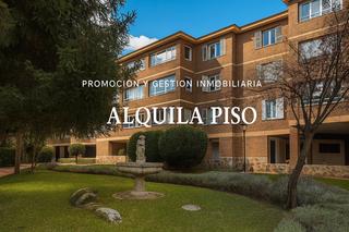 Location Appartement  Calle el plantío 4