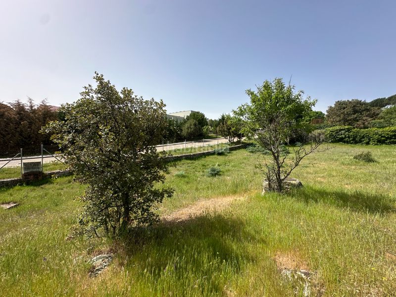 Foto f0df009b-a0b0-4a7d-bde0-920289dfebc7. Terreny residencial a calle enrique granados 11 a Hoyo de Manzanares
