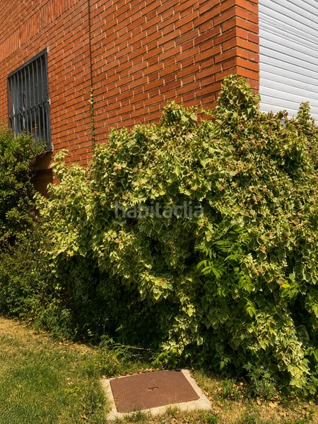 Foto 1108b8ae-a009-4012-9eee-e0cf28499b10. Casa adossada a calle zarrazin 7 a Hoyo de Manzanares