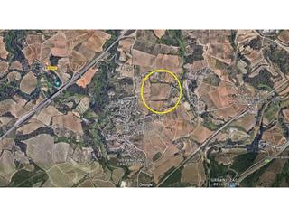 Terreny residencial  Diseminado riera bargallo. Vinya per plantar