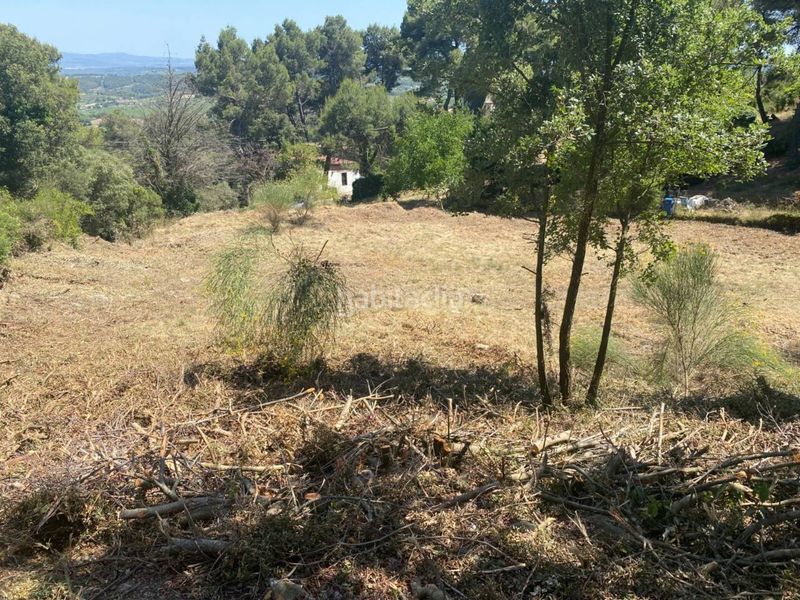 Foto ad992401-dc8a-4c1f-a73b-8f21b68c01f6. Finca rústica a Mediona