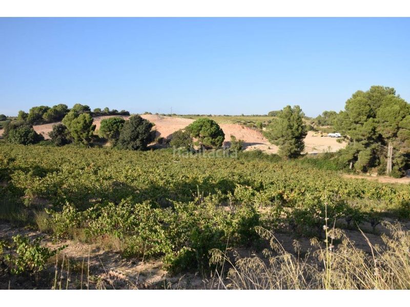 Foto 53af7d94-2ed1-42c9-823a-8709b107b2c6. Solar industrial a Sant Sadurní d´Anoia