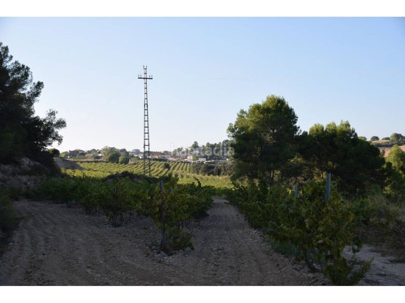 Foto e8bb3d1c-0c77-4b28-9701-173b1f6873c3. Solar industrial a Sant Sadurní d´Anoia