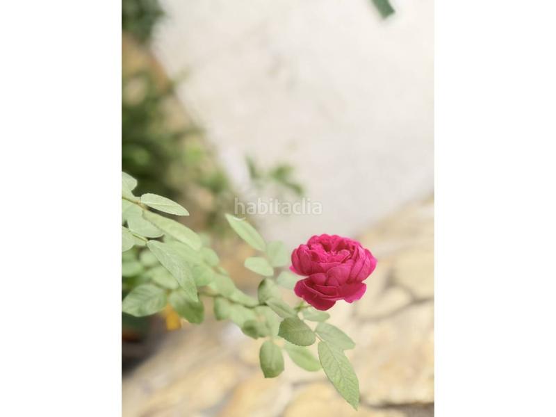 Foto cc1dc28a-76c4-45ce-8bfb-725ecc41c4f2. Casa amb calefacció a Torrelavit